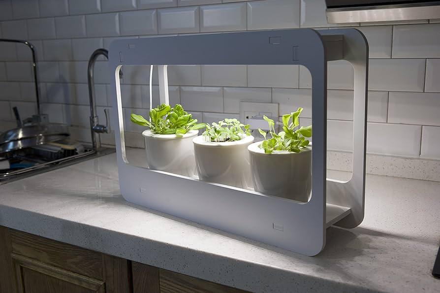 Limportance⁣ de la lumière pour faire éclore vos plantes aromatiques