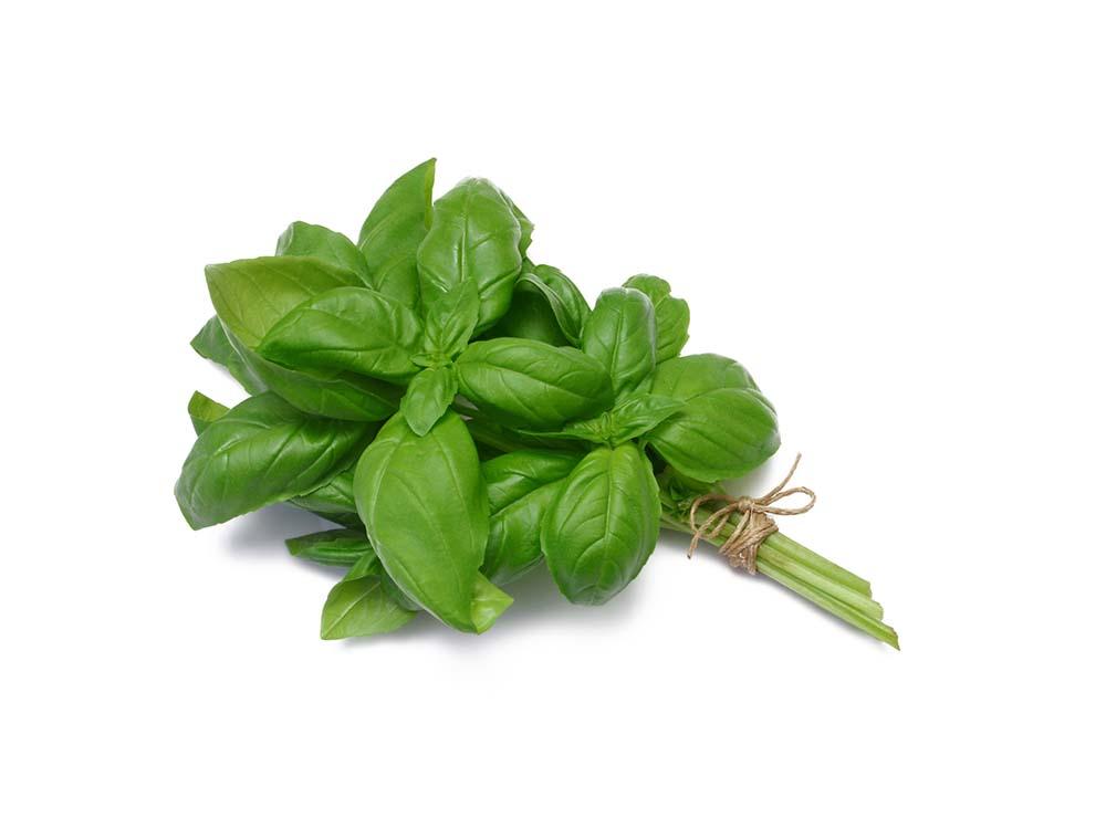 Choisir les variétés de basilic qui feront chavirer vos papilles