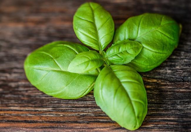 La joie de ⁤larrosage :‍ techniques⁤ pour une hydratation optimale