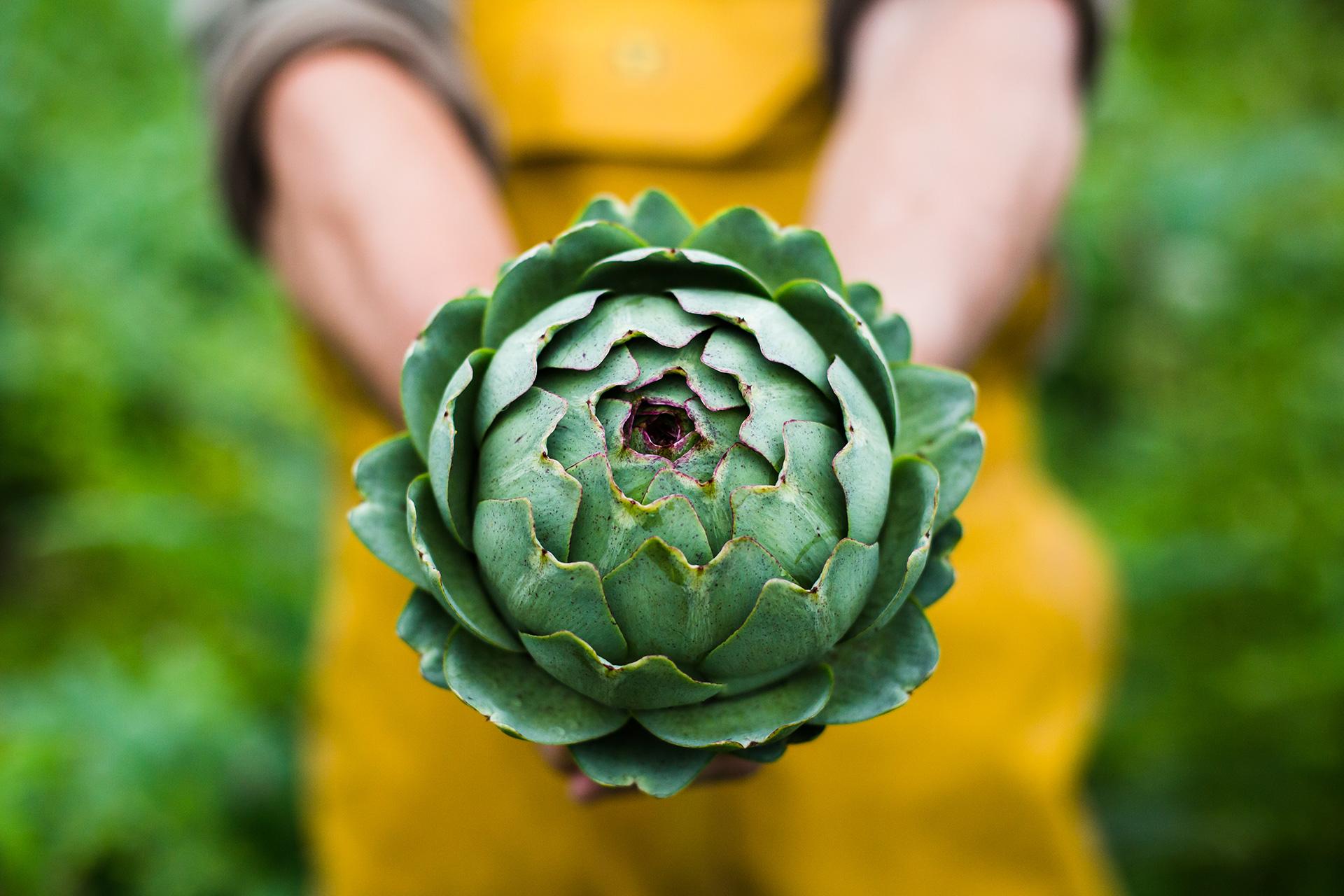 Préparer vos artichauts :‌ étape par étape ⁢pour un⁢ succès garanti