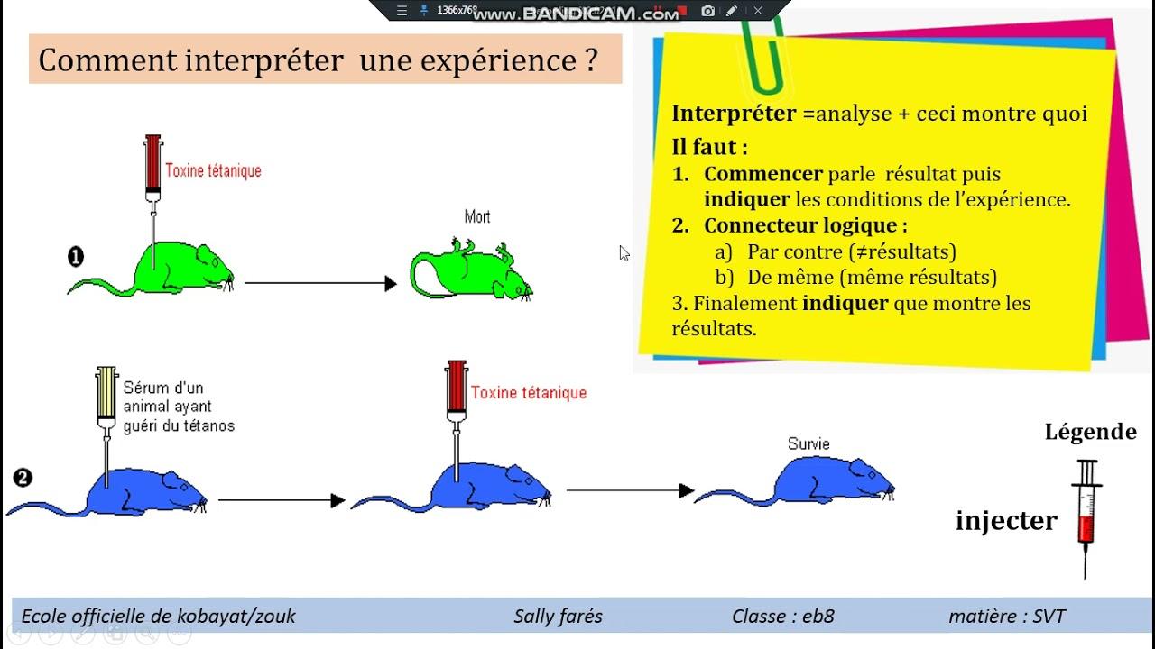 Interpréter les résultats : ce que les chiffres révèlent