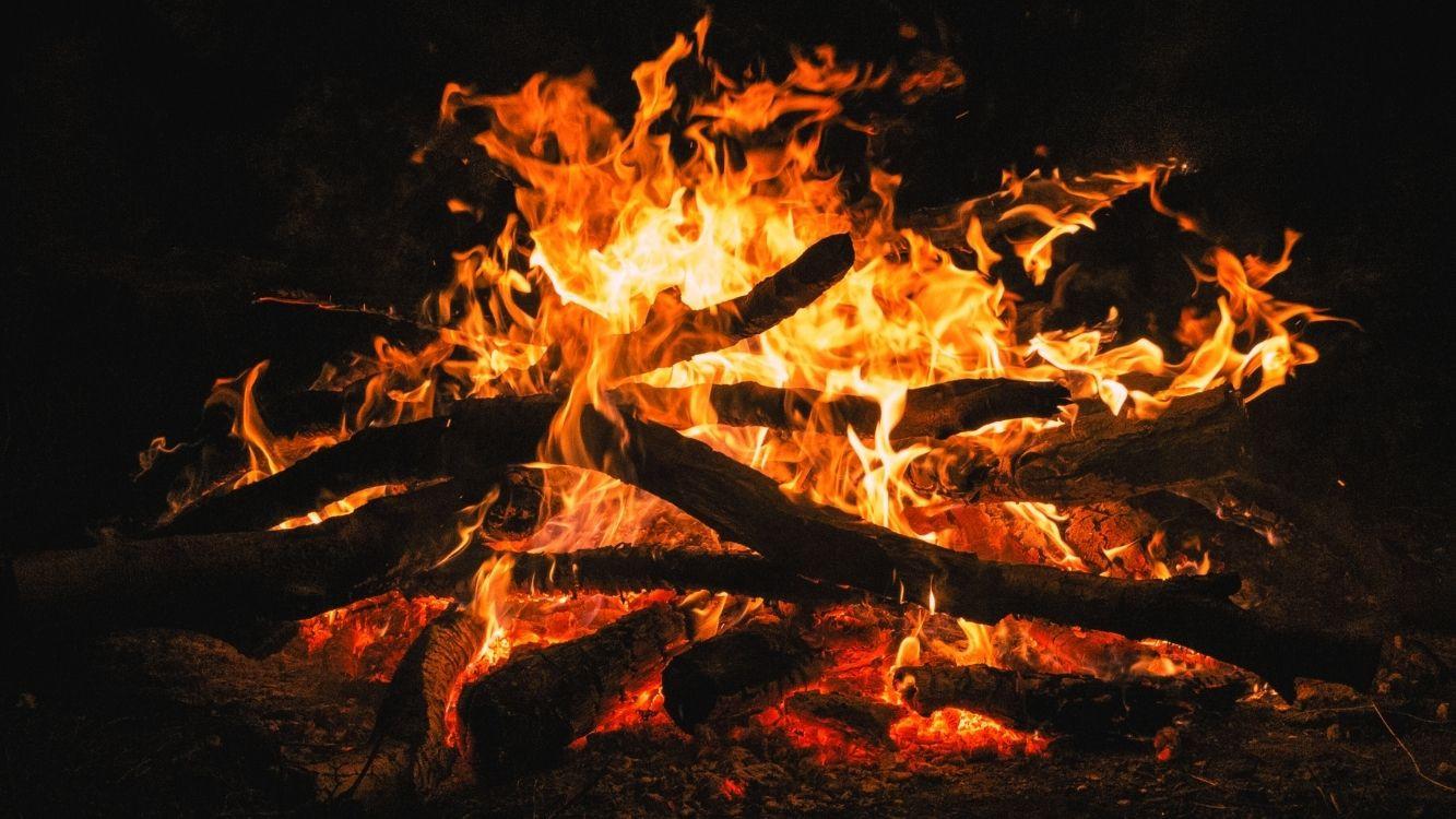 Choisir les meilleurs bois pour un crépitement parfait