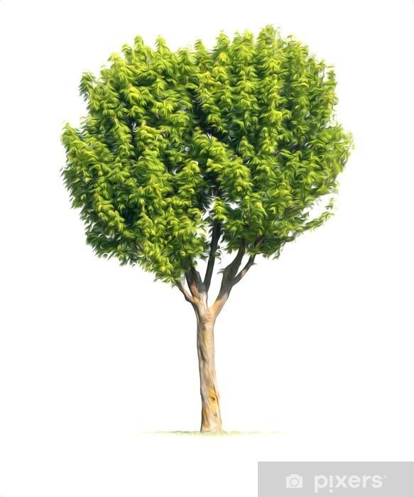 Surveiller et entretenir larbre durant ⁣le ‍processus de séchage