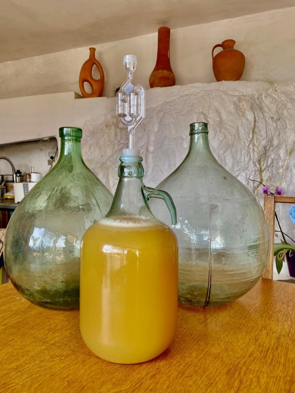 Découvrir lunivers fascinant de lhydromel fait maison