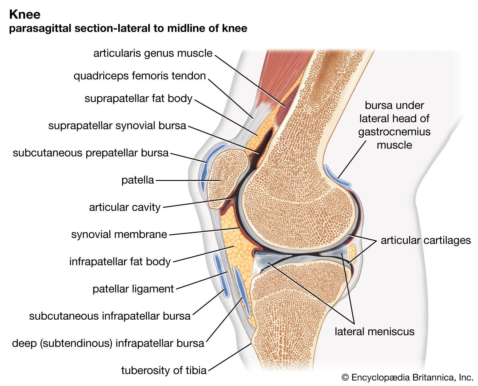Entretien et durabilité : prolonger la vie de vos joints