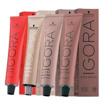 Comment faire une coloration professionnelle