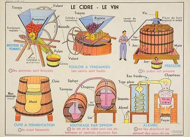 Comment faire du cidre