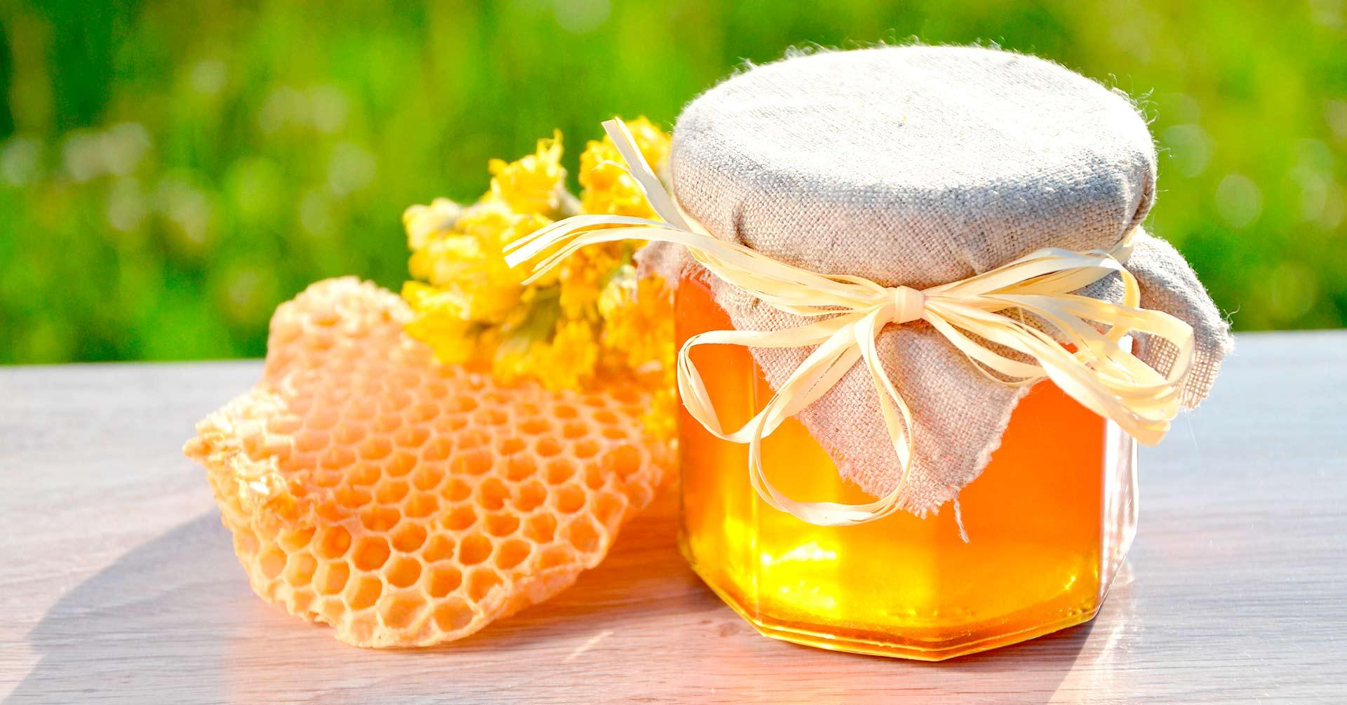 Récolter et ​conserver votre miel pour une douce longévité
