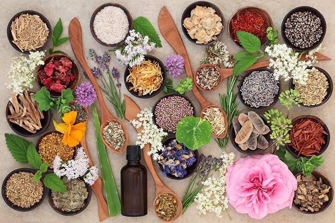 Les remèdes naturels : les alliés ​méconnus contre la gueule de bois