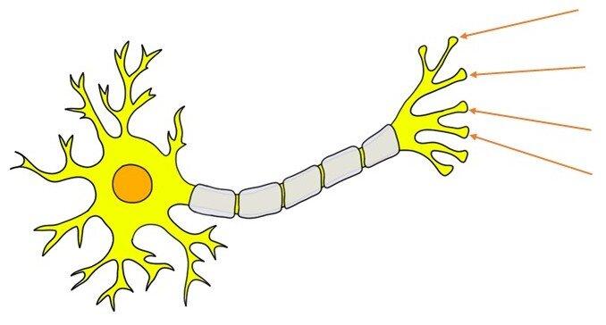 Les‌ gestes ‌à éviter pour prévenir lapparition‌ des⁣ boutons