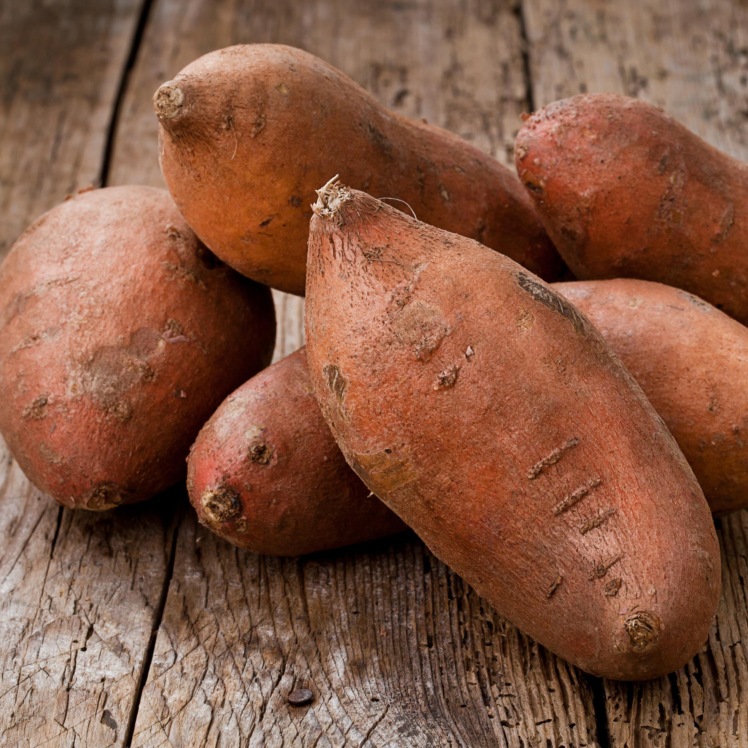 Choisir les ⁣meilleures​ variétés de patates ‍douces pour une⁣ purée savoureuse