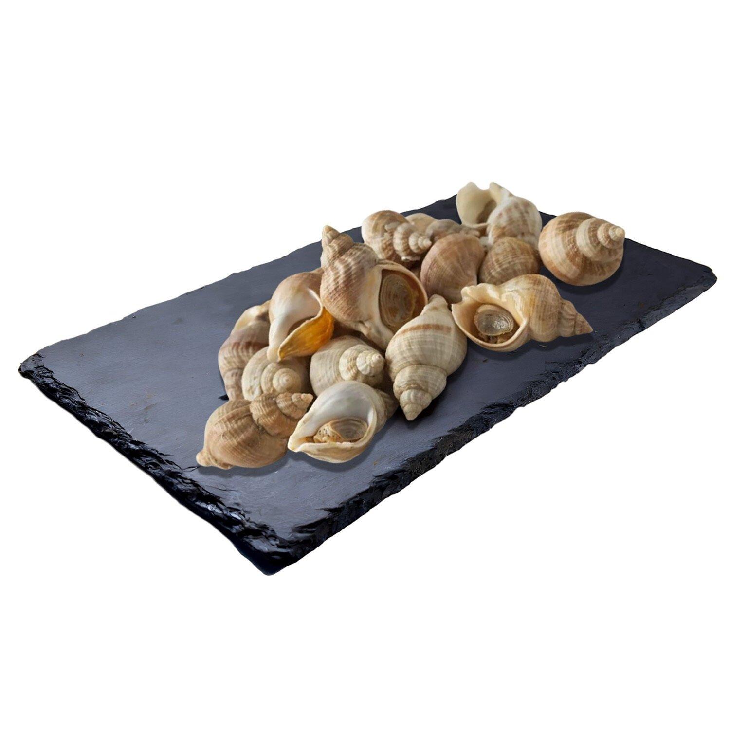 Les secrets pour choisir des bulots de qualité