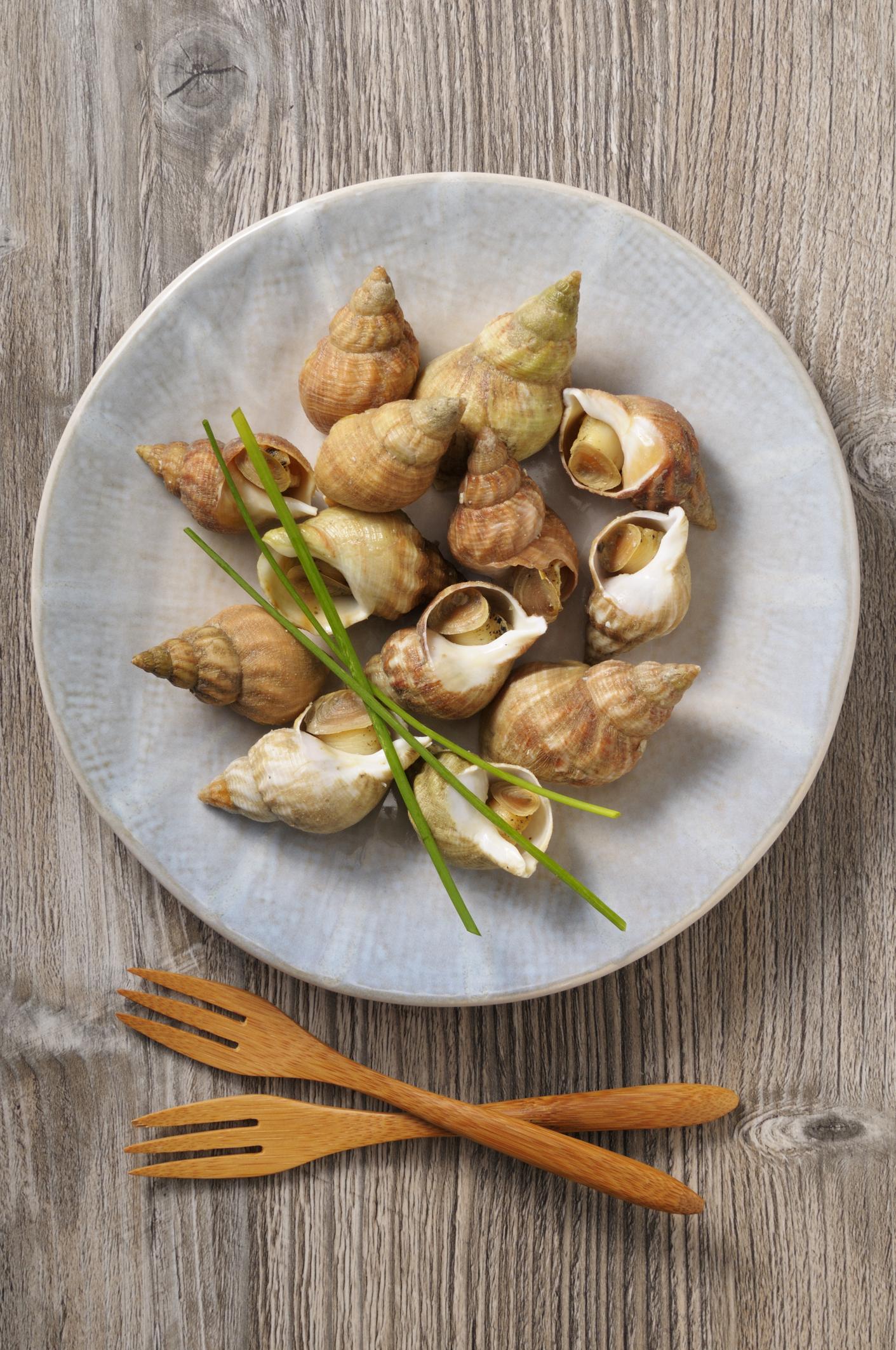 Comment faire cuire les bulots