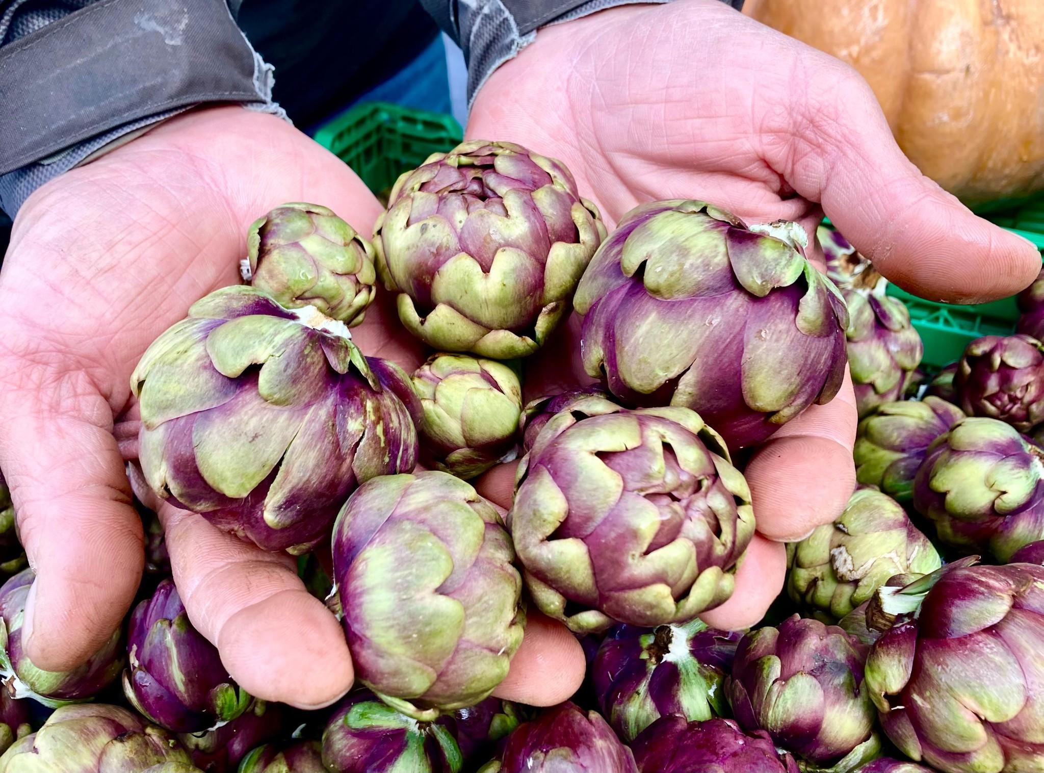 Préparer vos artichauts comme un chef étoilé