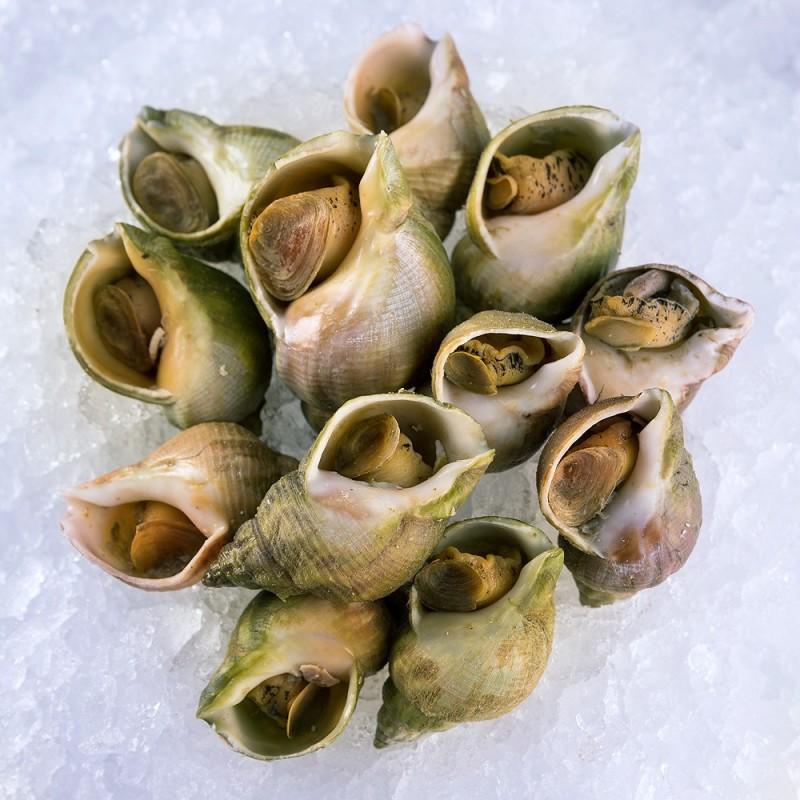 Accorder les bulots avec des sauces et accompagnements