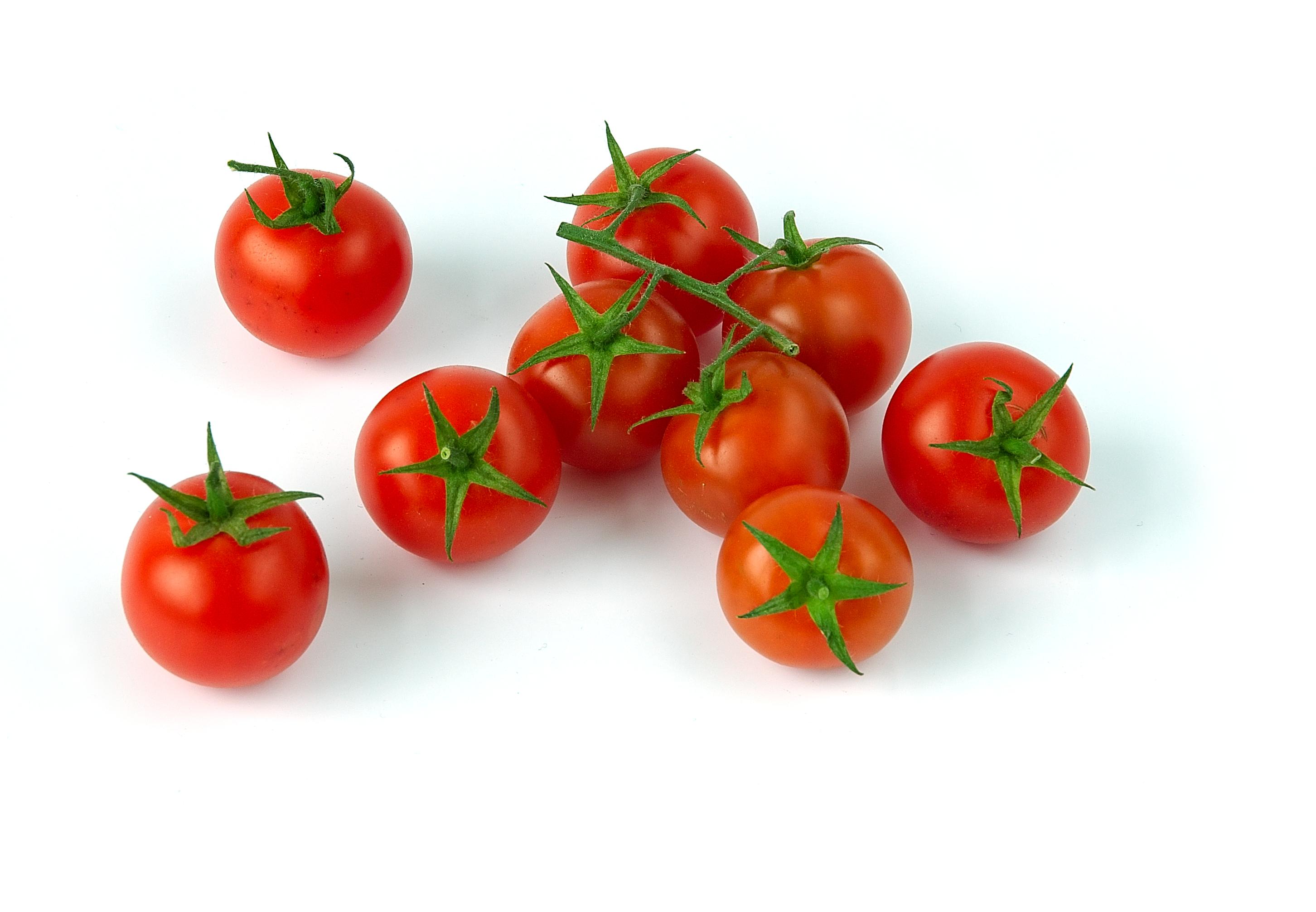 Prévenir le gaspillage : conseils pour conserver vos tomates après la récolte