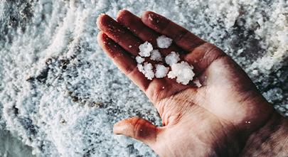 Les bases de la saumure : Comprendre les fondements de cette technique culinaire