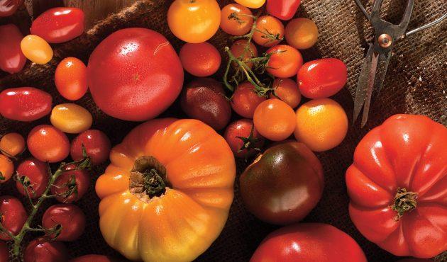 Techniques maison : astuces pour accélérer le mûrissement de vos tomates