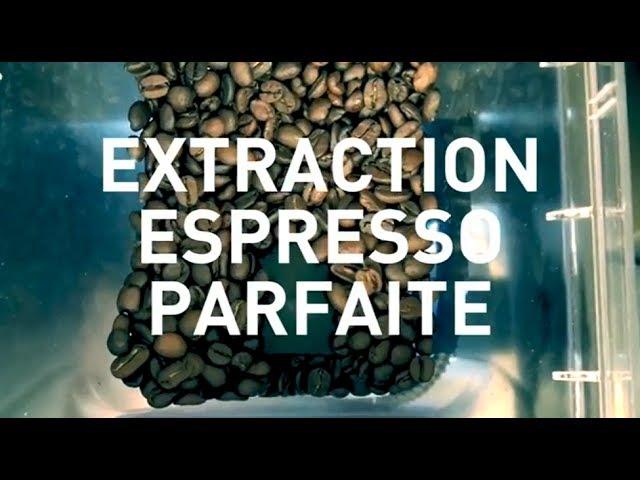 Le processus étape par étape pour une extraction parfaite