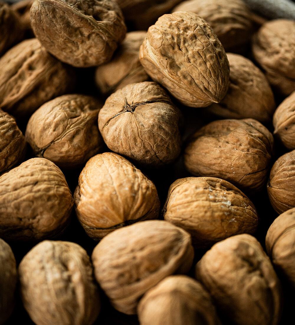 Choisir les Bonnes Noix pour un Séchage Réussi
